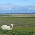 Wattenmeerblick *