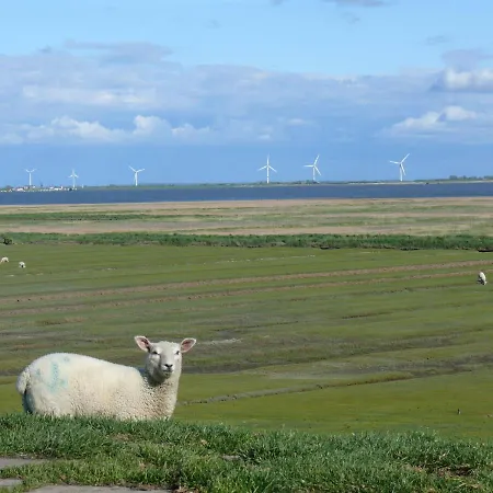 Wattenmeerblick *